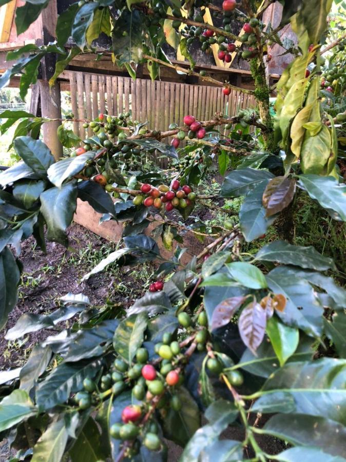 Alojamiento Rural Jardin Consentido Eksteriør bilde
