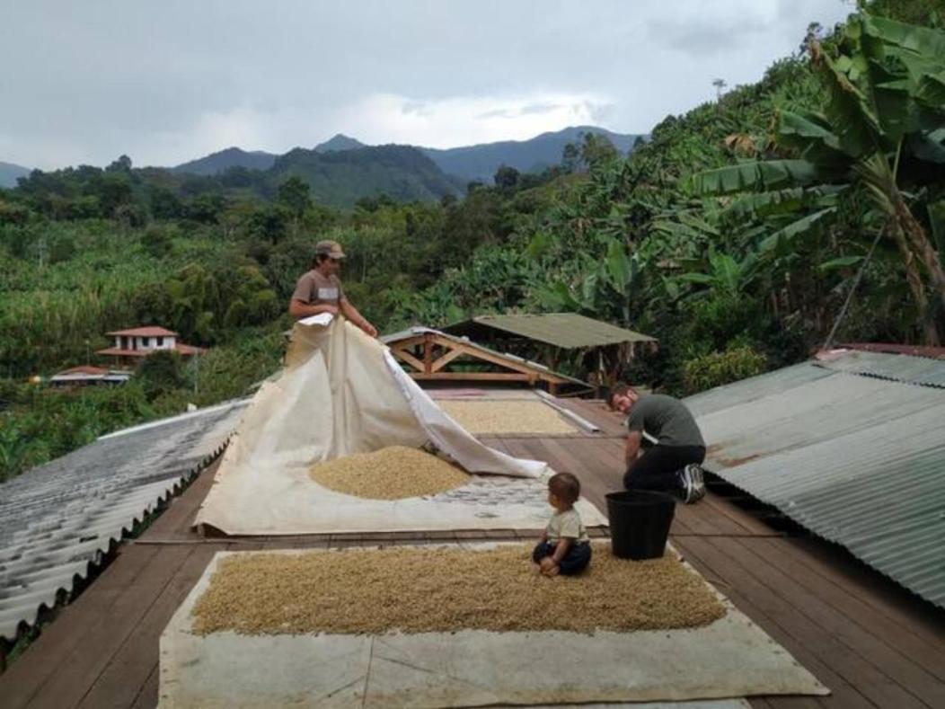 Alojamiento Rural Jardin Consentido Eksteriør bilde