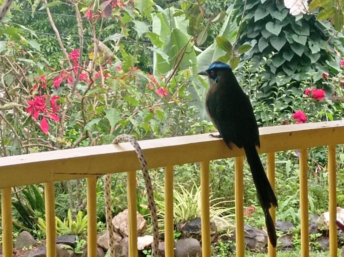Alojamiento Rural Jardin Consentido Eksteriør bilde