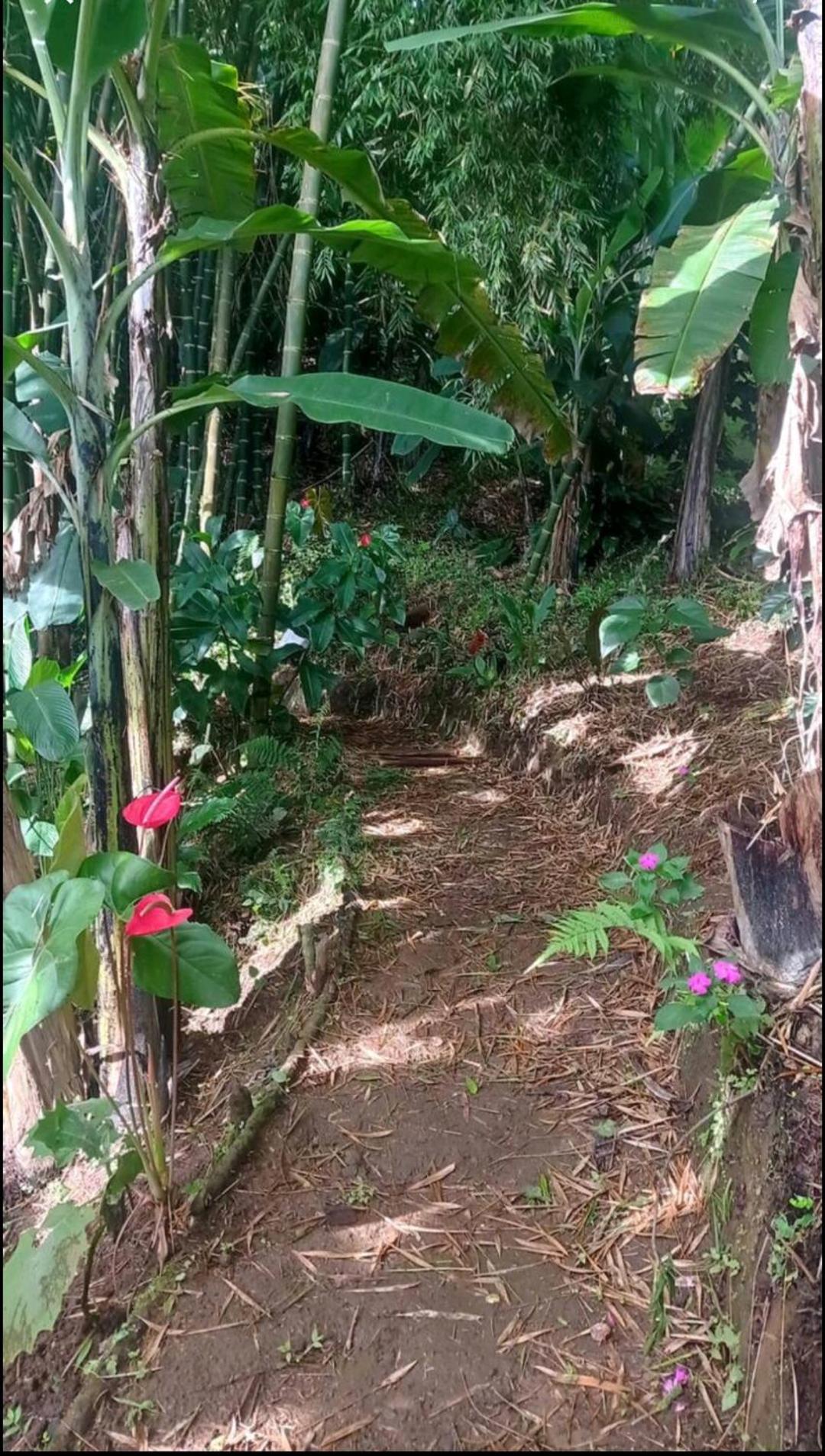 Alojamiento Rural Jardin Consentido Eksteriør bilde