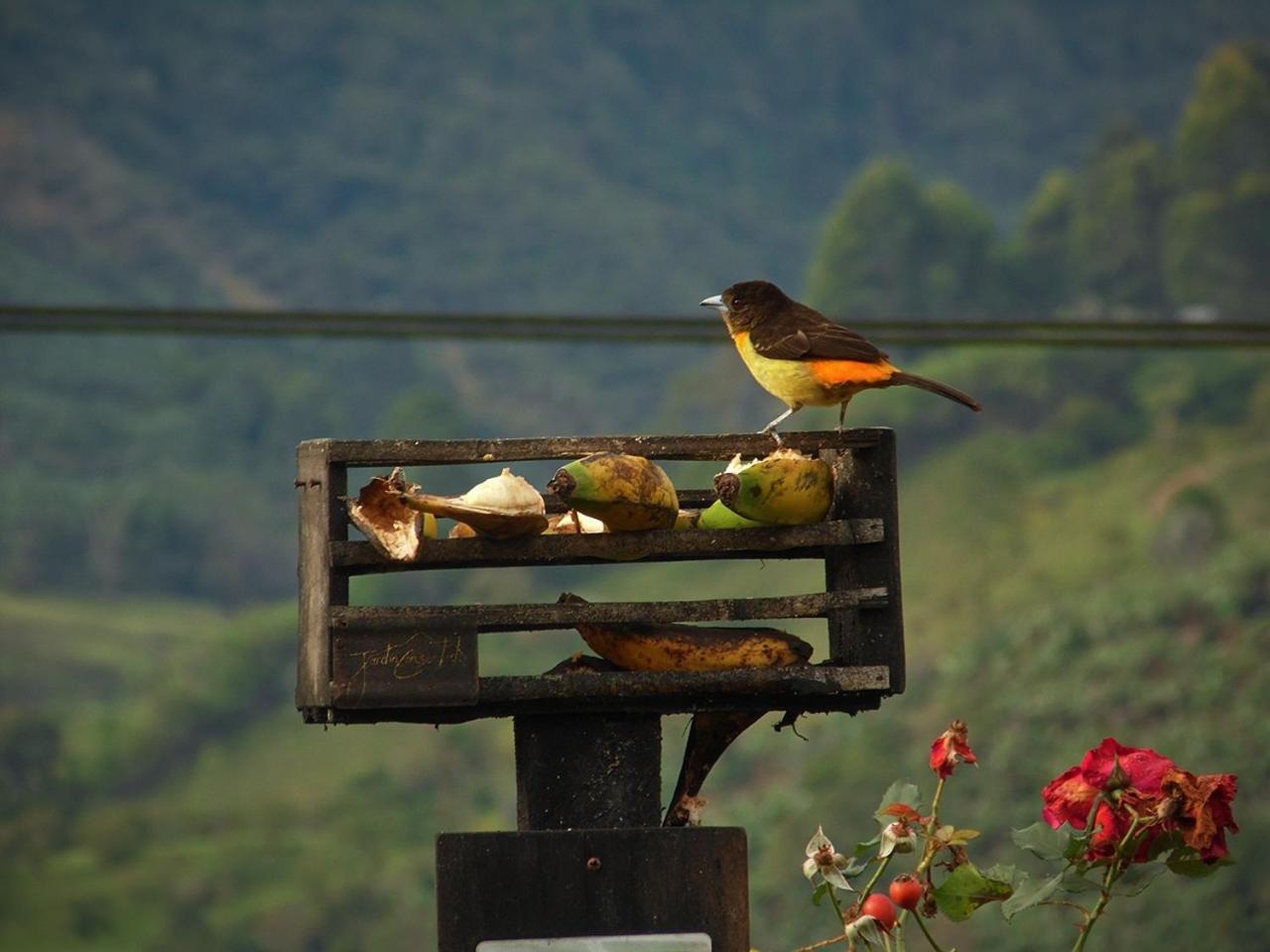 Alojamiento Rural Jardin Consentido Eksteriør bilde