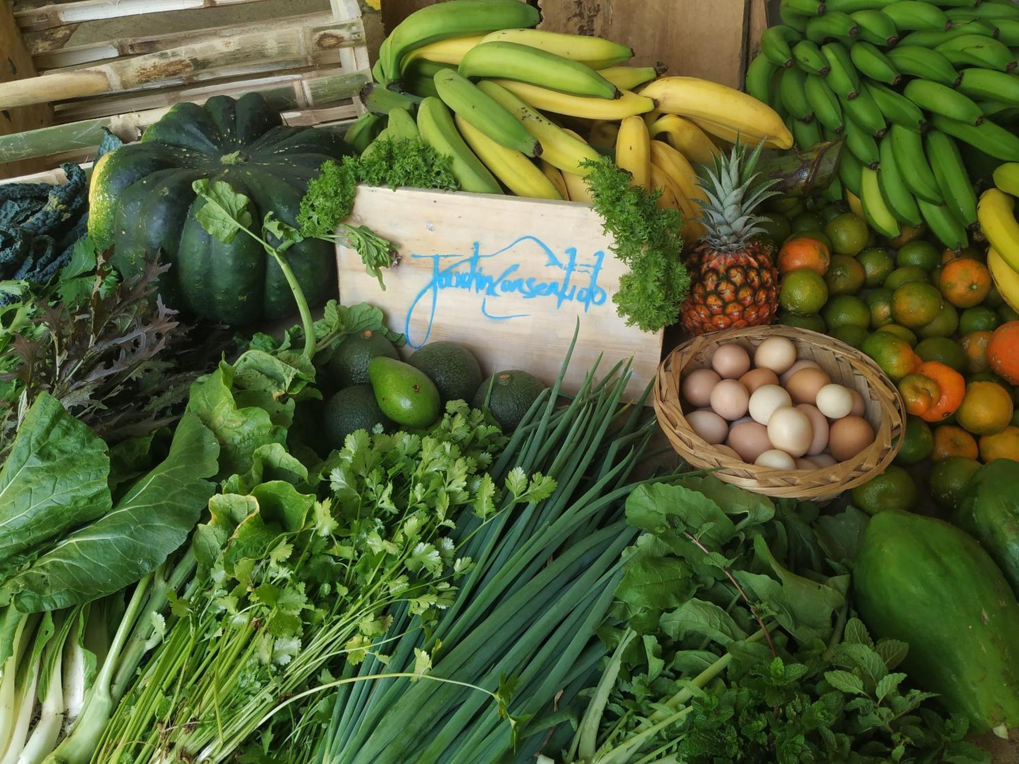 Alojamiento Rural Jardin Consentido Eksteriør bilde