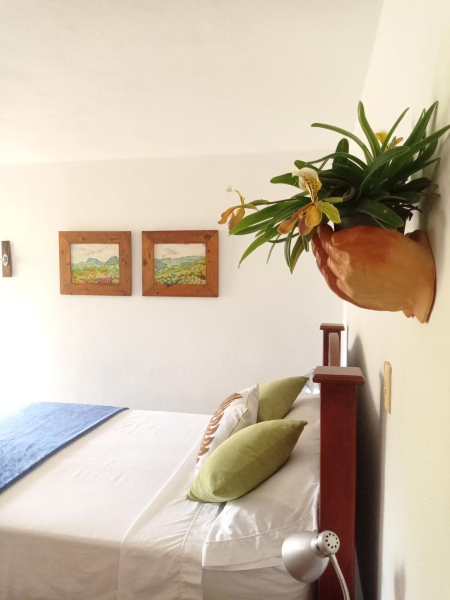 Alojamiento Rural Jardin Consentido Rom bilde