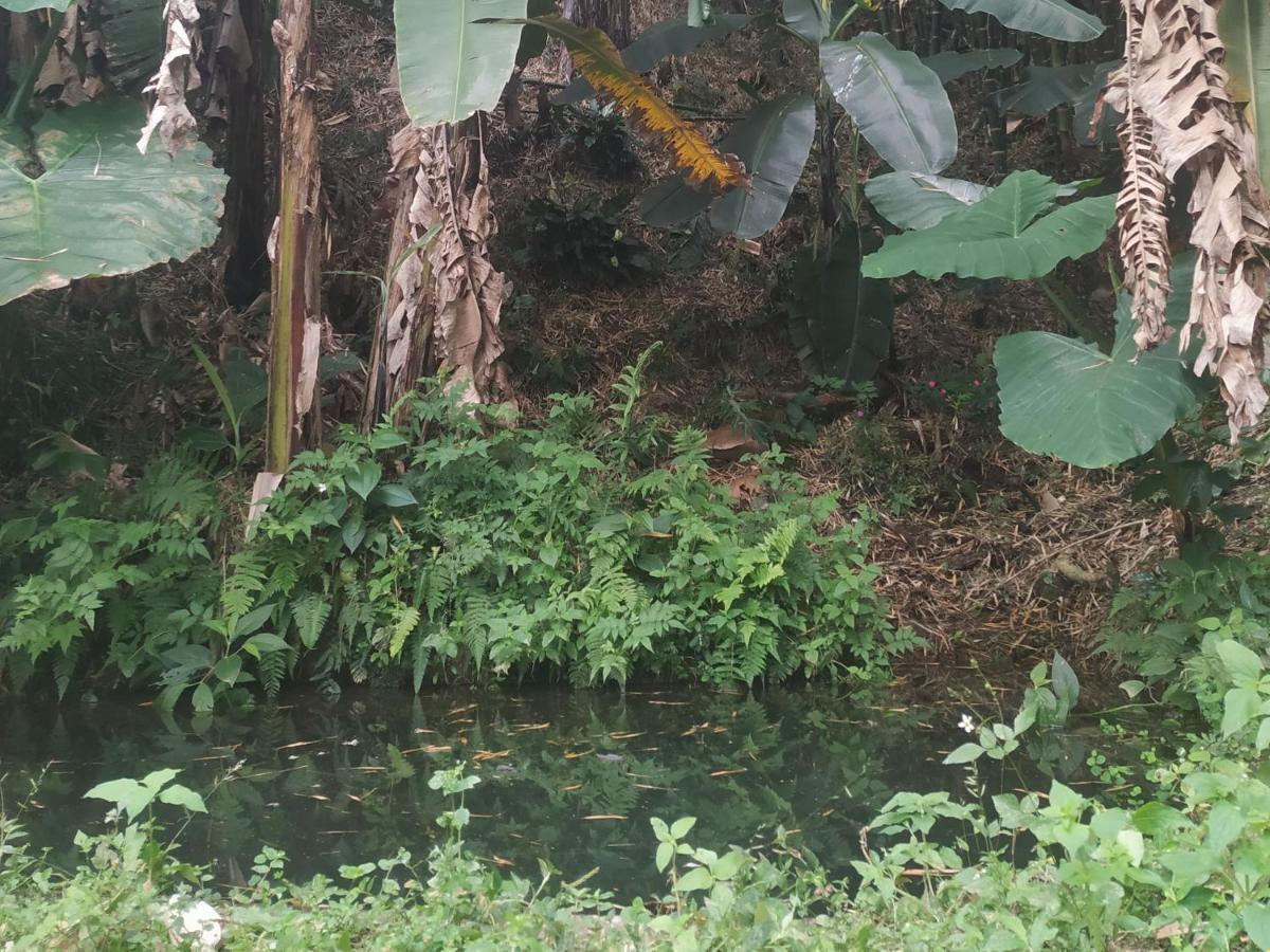Alojamiento Rural Jardin Consentido Eksteriør bilde